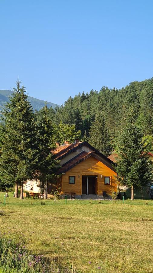 Apartmani Sarovic تجينتيستيه المظهر الخارجي الصورة